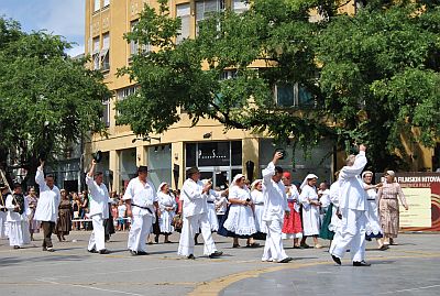 duz2013-sredisnja-povorka-1