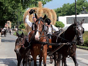 Duzijanca sredisnja2014-1