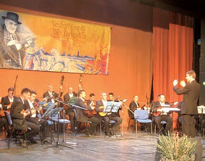 danizarkovica2012-2