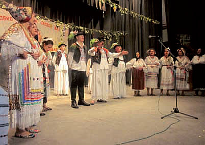 Grozdjebal Sonta2013-1