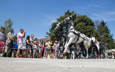 Bodrog Fest2014-1