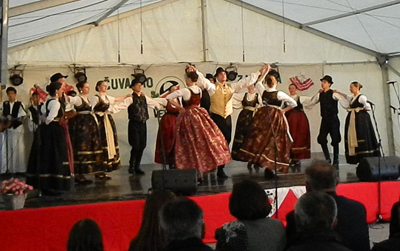 Tavankucani Velika2013-1