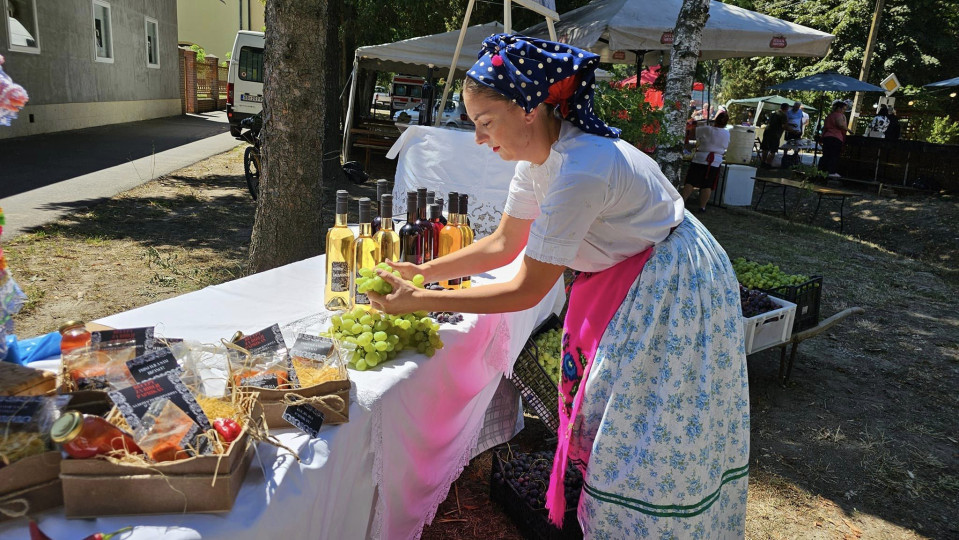 Bodrog fest u Monoštoru