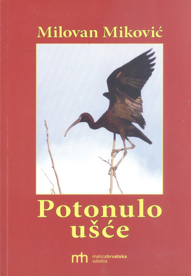 Milovan Miković: Potonulo ušće